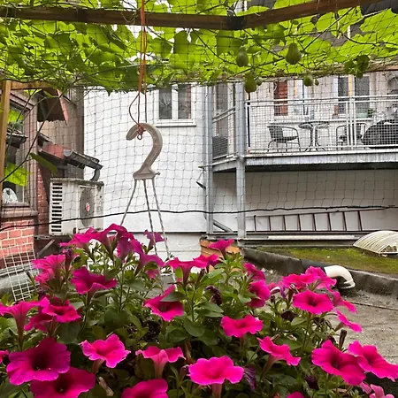 Im Herzen Der Historischen Altstadt Апартаменты